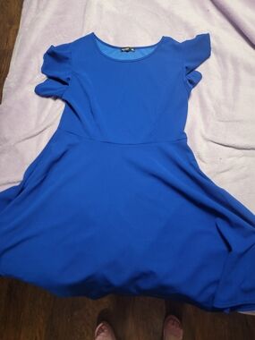 SHEIN Royal Blue Fit & Flare Mini Dress